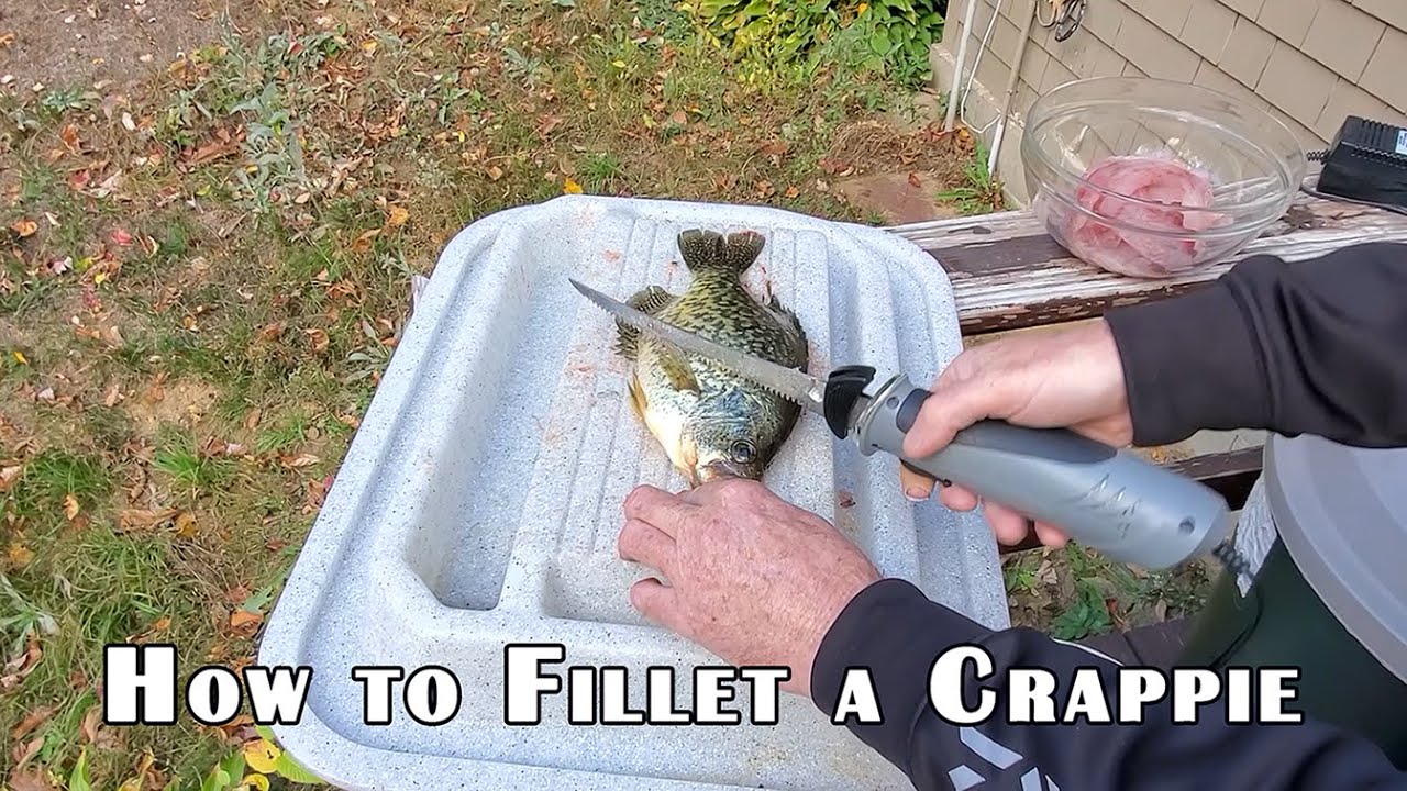 How to Fillet a Crappie with an Electric Fillet Knife - YouTube
