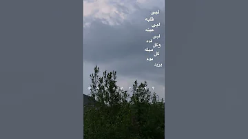 لبى قلبه بس وينه بدون موسيقى تصوير شجر رياح غيم تصميم كلمات تتابع تصوير تصميم Agoot 