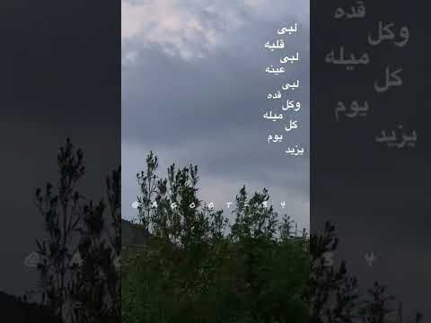 لبى قلبه بس وينه بدون موسيقى تصوير شجر رياح غيم تصميم كلمات تتابع تصوير تصميم