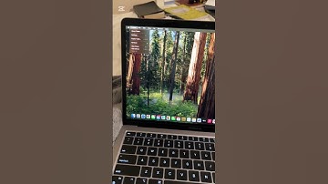 How to fix MacBook unable to verify account name or password