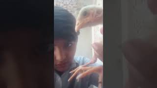 #chicks #foryou #duet #trending #whowillbemylifepartnerta #pti #nothingimposibleinthisworld
