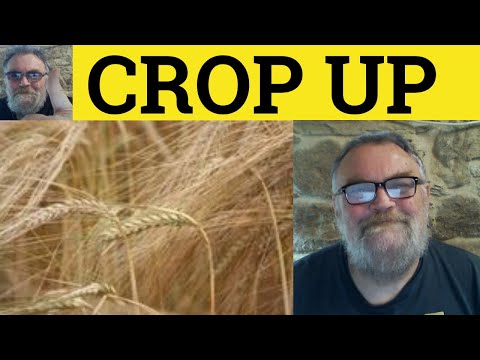 🔵 Crop Up Meaning - Define Crop Up - Crop Up Examples - Crop Up Explained - English Phrasal Verb ESL