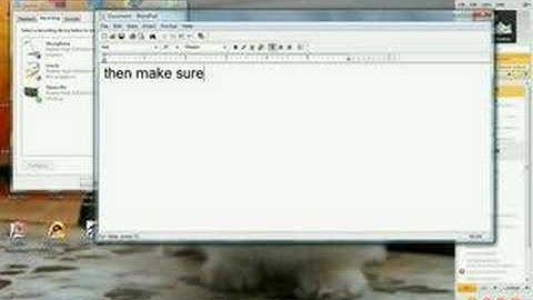how to record sound on hypercam 2 if you have windows vista