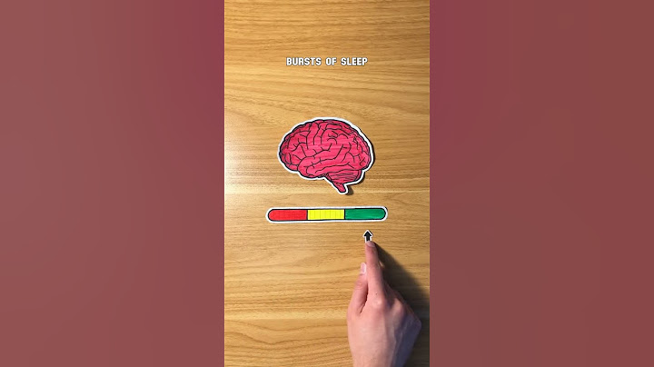 What Happens if You Don’t Sleep?