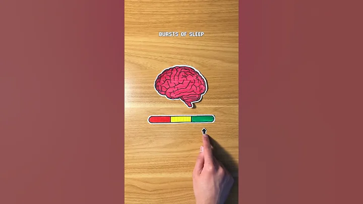 What Happens if You Don’t Sleep?