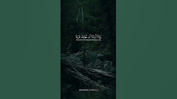 أكتب ما تؤجر عليه ❤️🥀 #ياسر_الدوسري #قرآن #quran #سورة_الإسراء