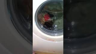 S.vatenseverden Ilham Arçelik 3320 Sa Karışık Yıkama Cotton 60Bingo Lovely Detergent Jardin Del