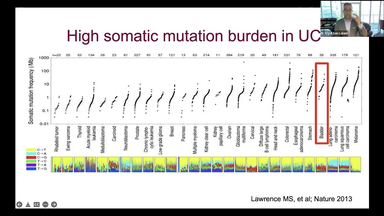 What is Immunotherapy?