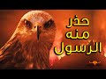 طائر شرير حذر منه الرسول هو أكبر مسبب لحرائق أستراليا .. تعرف على طائر الحدأة اخبث طائر على الارض