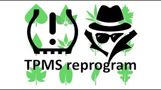 20251220 Leaf Reprogram Tpms With Leafspy Hd