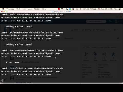 Git Logs Search