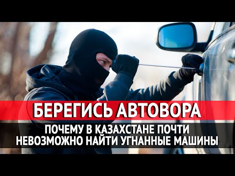 Берегись автовора. Почему