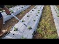 INCREDIBLE FARM GADGET MAKES LIQUID FERTILIZER APPLICATION FAST AND EASY! - smart farming technology