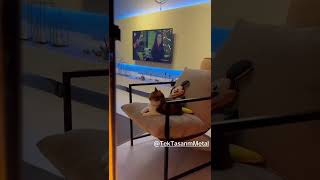 Pelet Sobası 05540050197