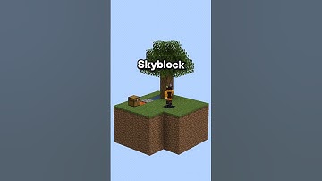 This all came from Oneblock Server! 🌎😜 #minecraft #bedrock #gaming #oneblock #smp