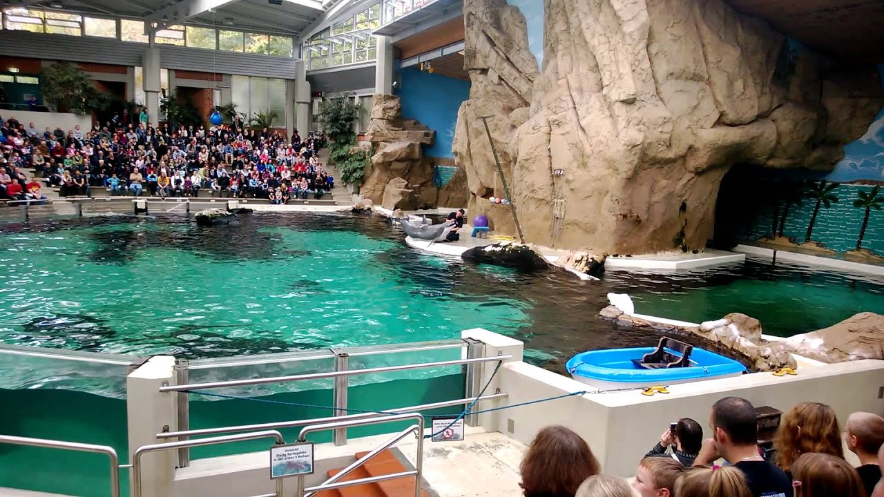 Delfinarium Zoo Duisburg Teil 2 - YouTube