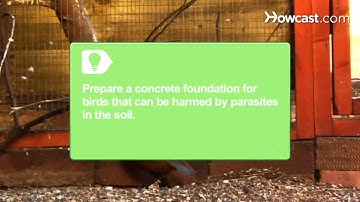 How to Build an Aviary