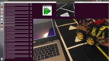 [CSE591] Perception in Robotics - Final Project Demo 2