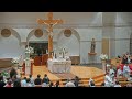 Traditional Latin Mass - The Immaculate Heart of Mary