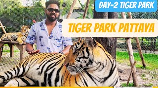 Exploring Pattaya Tiger Park: A Thrilling Encounter with Majestic Beasts!