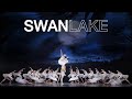 Swan lake trailer  the national ballet of canada