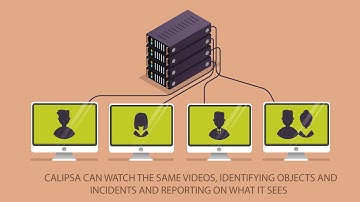 Calipsa - Video Analytics for Monitoring Stations