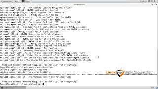 2.7 Установка системы управления mysql | Linux для начинающих