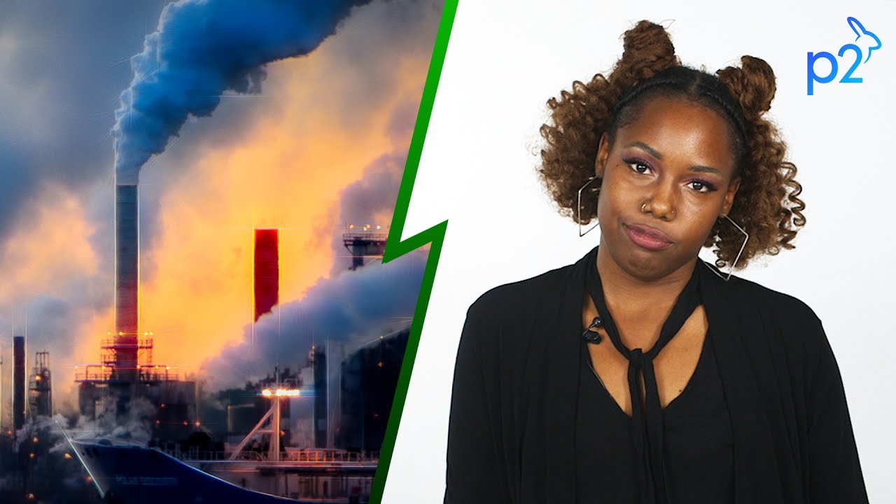 How The Meat & Dairy Industries Destroy the Environment