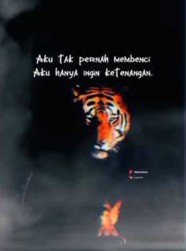 storyku..kata-kata gak jelas #shorts #status #attitudestatus #macan