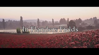 In Flanders Fields - WWI poem - A Battlefield Cinematic