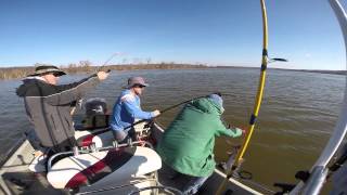 FishOn Guide Service Spoonbill trip Resimi