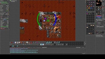 EK lvl 80 Boss GS (Giant Spider) The Old Widow