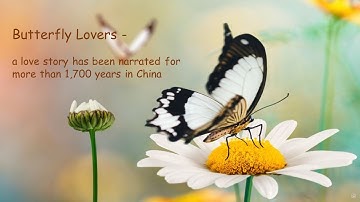 Thumbnail of Butterfly Lovers song - a song with many reduplications, 说中文走天下，化蝶
