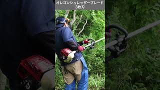 あぴーち ProCut® Peach - (F1) Sunflower Seed | Johnny's Selected Seeds