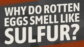 Why do rotten eggs smell like sulfur?