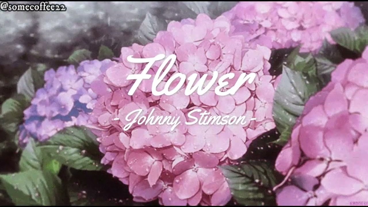 (Vietsub ) || Flower - Johnny Stimson