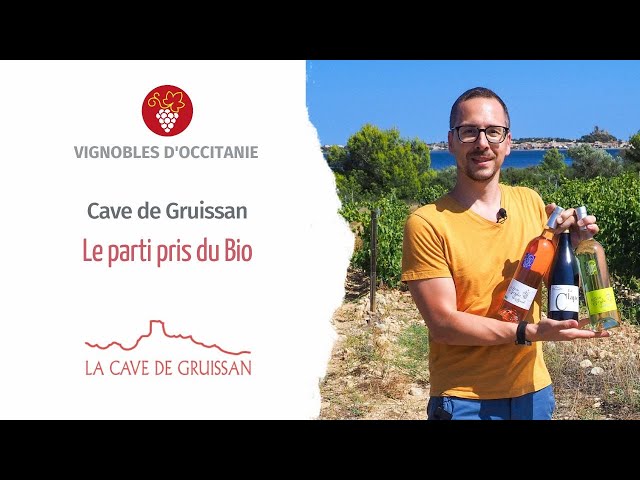 La Cave de Gruissan - Le parti pris du bio, avec Frédéric Vrinat, directeur