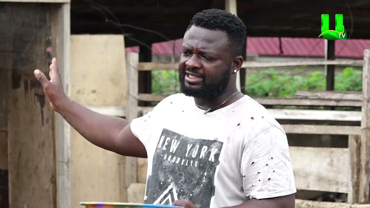 AYEKOO: Backyard Farming