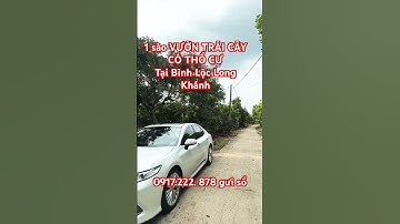 💥 Bán vườn trái cây nghỉ dưỡng có THỔ CƯ tại Bình Lộc Long Khánh giá 2 tỷ #shorts #trending