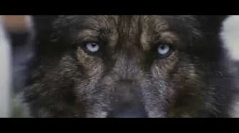 Howling (2012) trailer Howling (2012) trailer