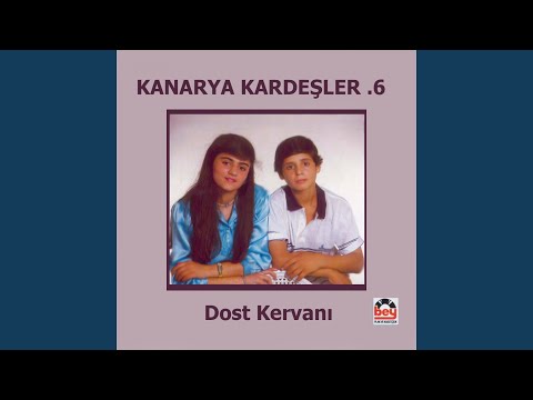 Benim Yarim Van'lıdır