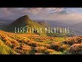 Friends go to the Carpathians