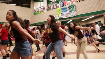 2016 USF MGC Block Party - Who You Wit