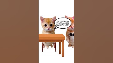 How Does Misogyny Work? Explain with kitties