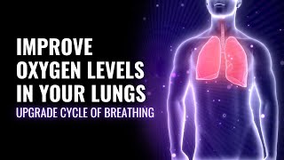 Improve Oxygen Levels in Your Lungs | Upgrade Cycle of Breathing | Music to Strengthen Your Lungs