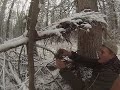 Ставим капканы на соболя c братом-охотником промысловиком. Hunting in Siberia