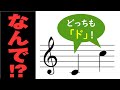 【音楽理論】オクターヴ上、なぜ「同じ音」? ~ "音程"も"音色"も脳の錯覚‼ 色にもオクターヴはある⁉ 「自然倍音列」から解き明かす知覚の神秘