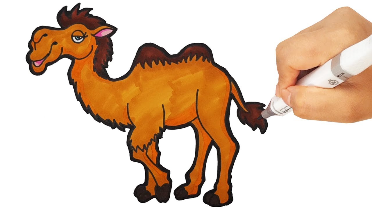 How to Draw Camel Colored Marker and Learn Animals Names for Kids