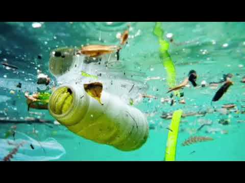 წყლის დაბინძურება 2_გორის 3 საჯარო სკოლა