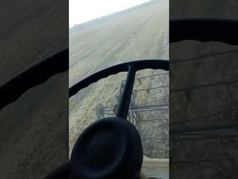 Нива СК5/Niva SK5
